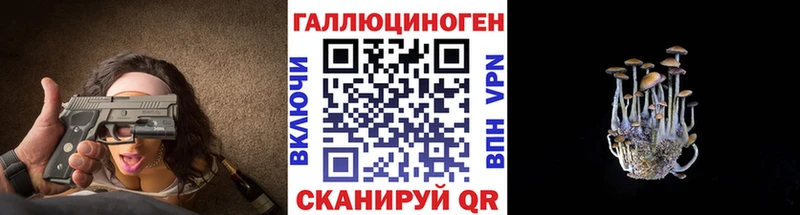 Псилоцибиновые грибы Cubensis  Поворино 